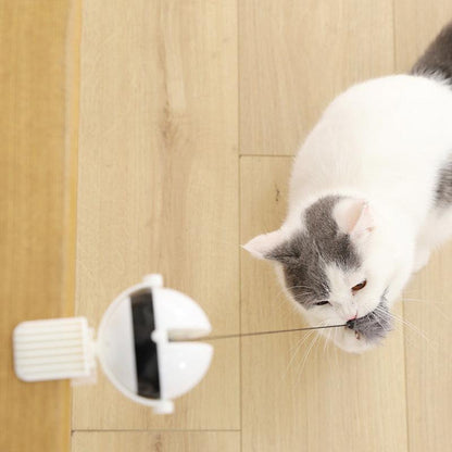 Automatic Lifting Cat Ball Toy