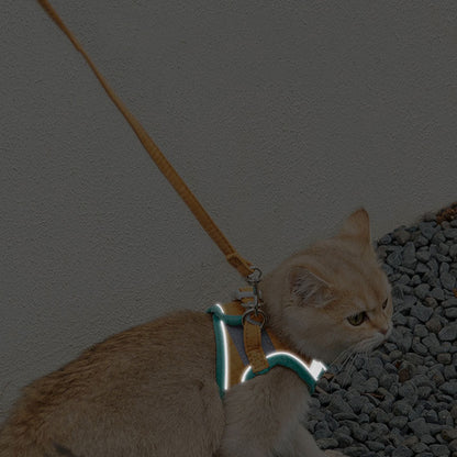 Adjustable Cat Harness Set