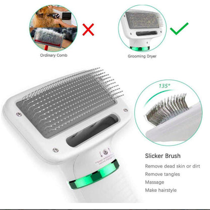 Pet Hair Dryer